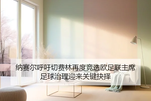 纳赛尔呼吁切费林再度竞选欧足联主席 足球治理迎来关键抉择 | WEIDESPORT