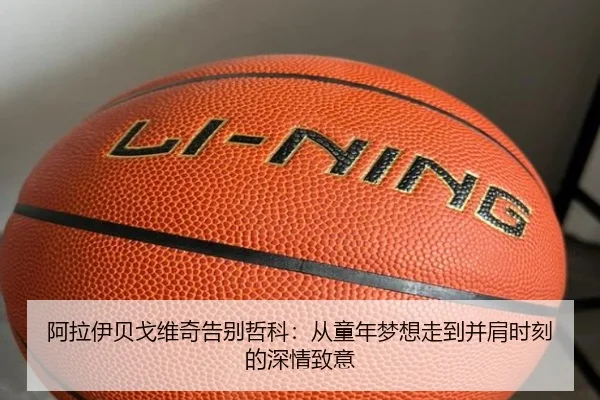 阿拉伊贝戈维奇告别哲科：从童年梦想走到并肩时刻的深情致意 - WEIDESPORT